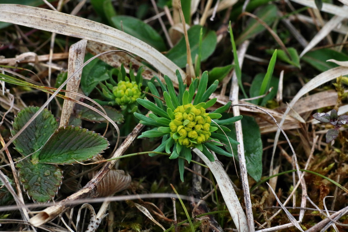 IMG-2016-04-05-00011711p_Bildgr��e �ndern