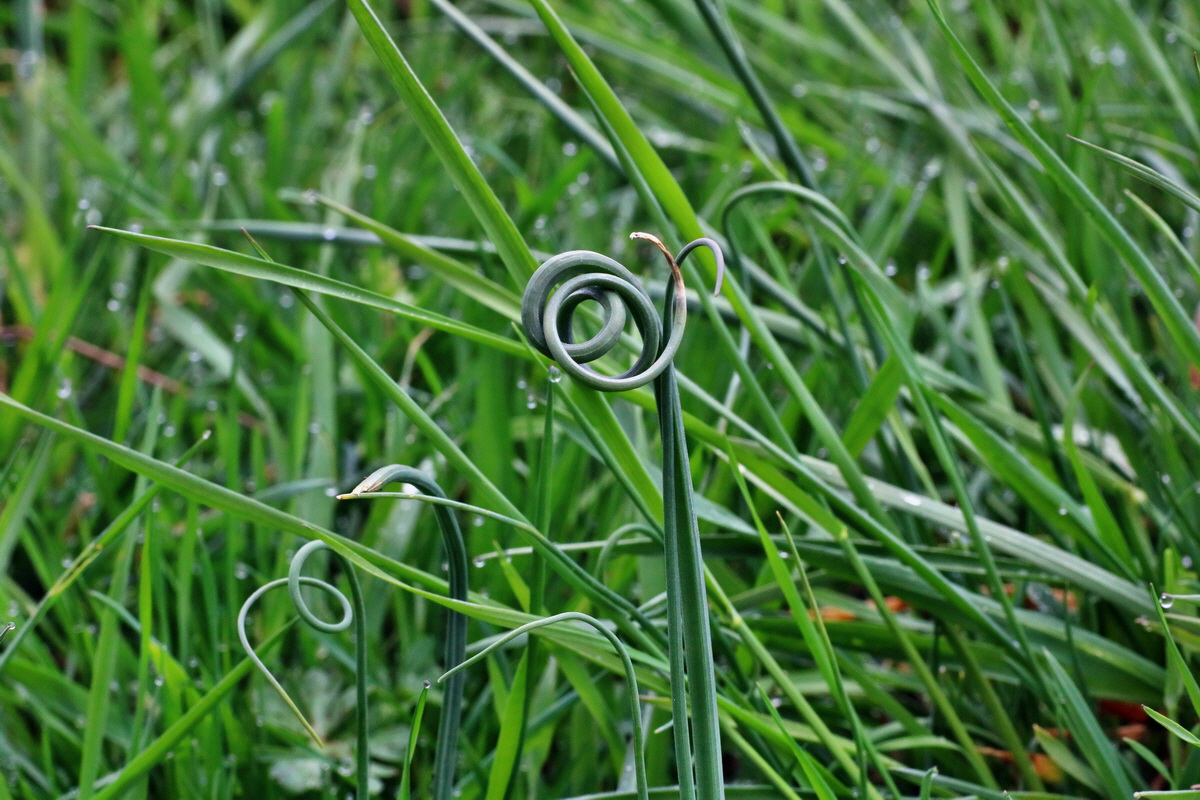 IMG-2016-04-05-00011720p_Bildgr��e �ndern