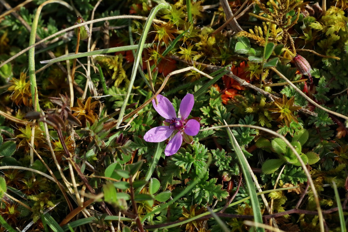 IMG-2016-04-05-00011725p_Bildgr��e �ndern