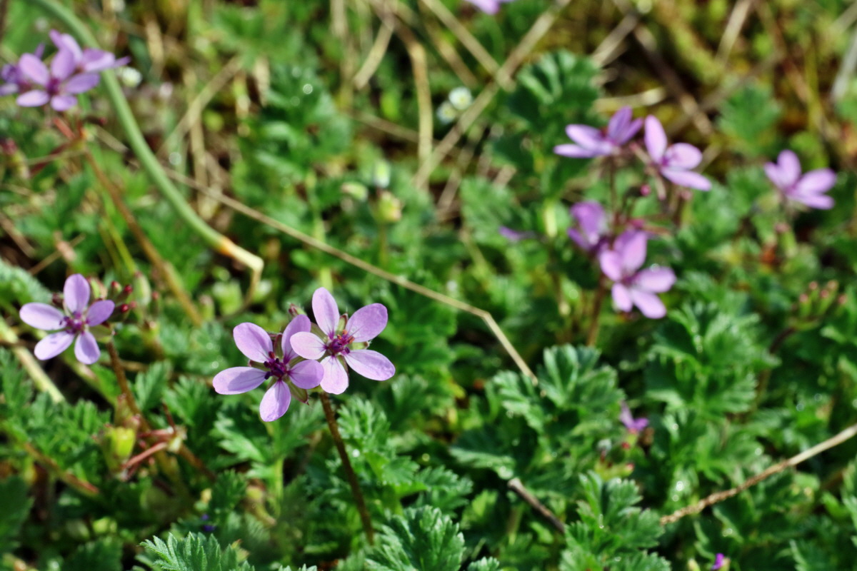 IMG-2016-04-05-00011732p_Bildgr��e �ndern