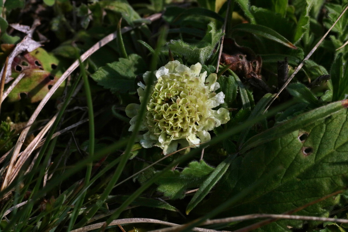 IMG-2016-04-05-00011741p_Bildgr��e �ndern