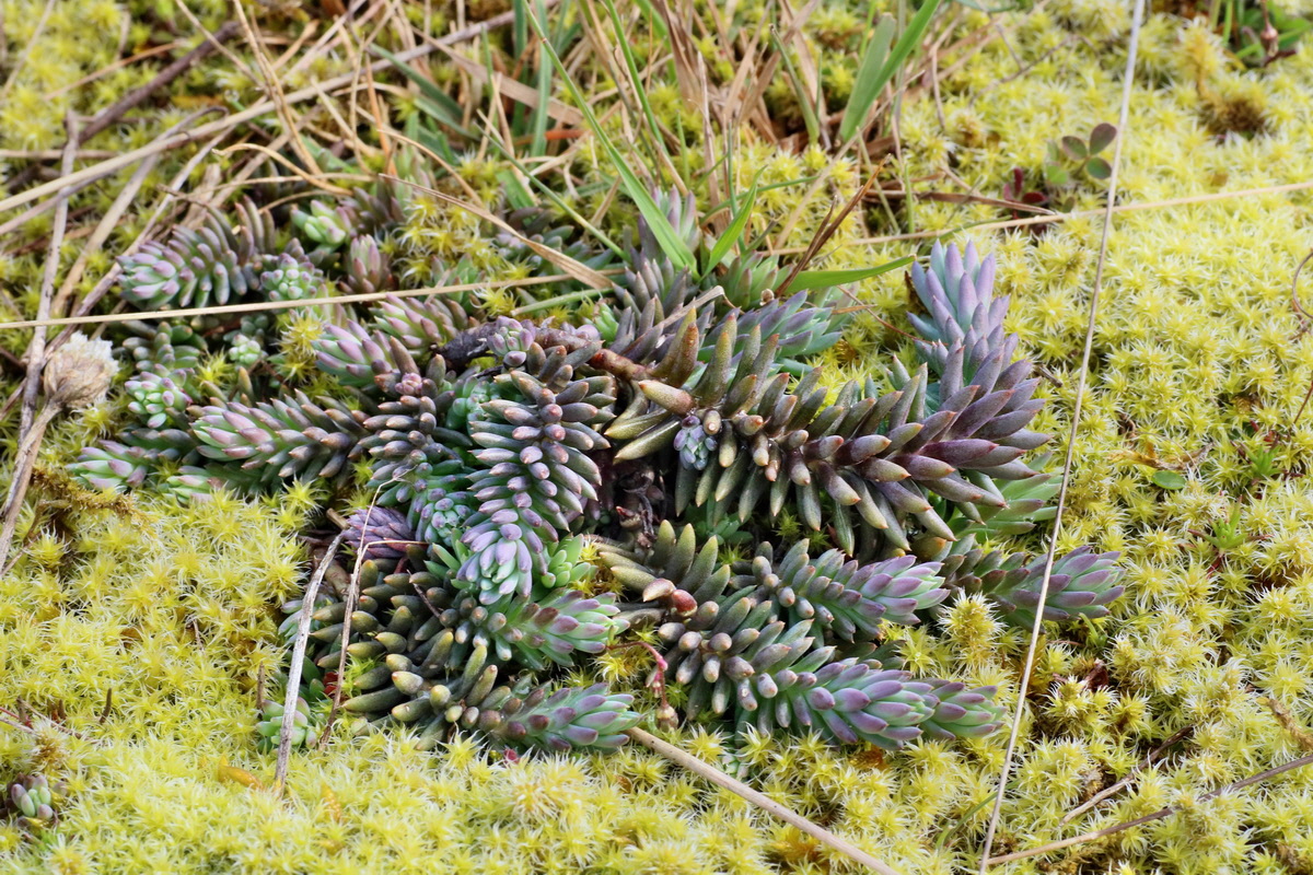 IMG-2016-04-05-00011750p_Bildgr��e �ndern