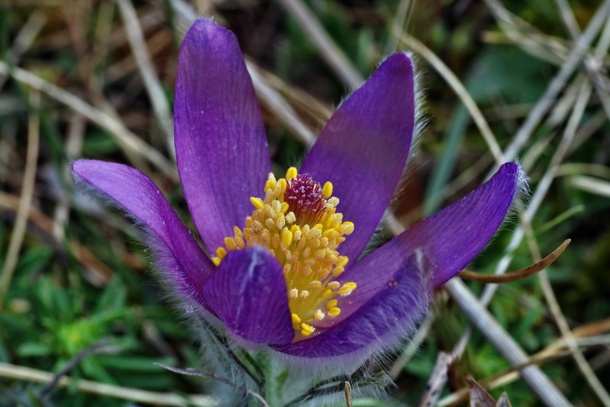 IMG-2016-04-05-00011757p_Bildgr��e �ndern