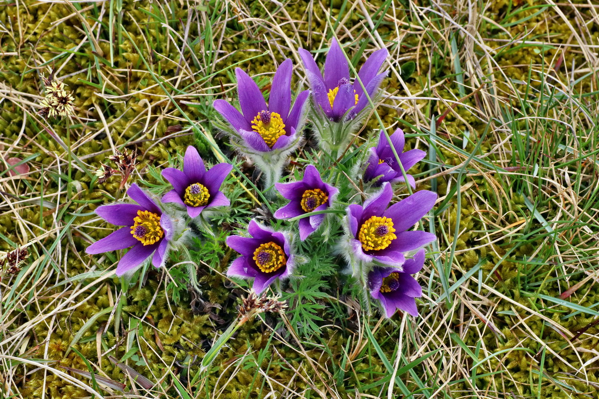 IMG-2016-04-05-00011765p_Bildgr��e �ndern