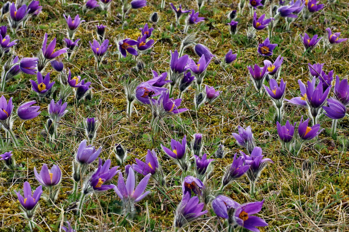 IMG-2016-04-05-00011769p_Bildgr��e �ndern