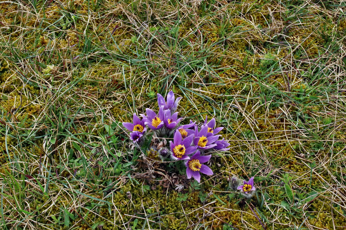 IMG-2016-04-05-00011775p_Bildgr��e �ndern