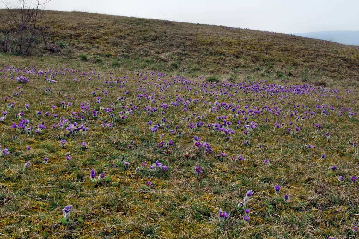 IMG-2016-04-05-00011796p_Bildgr��e �ndern