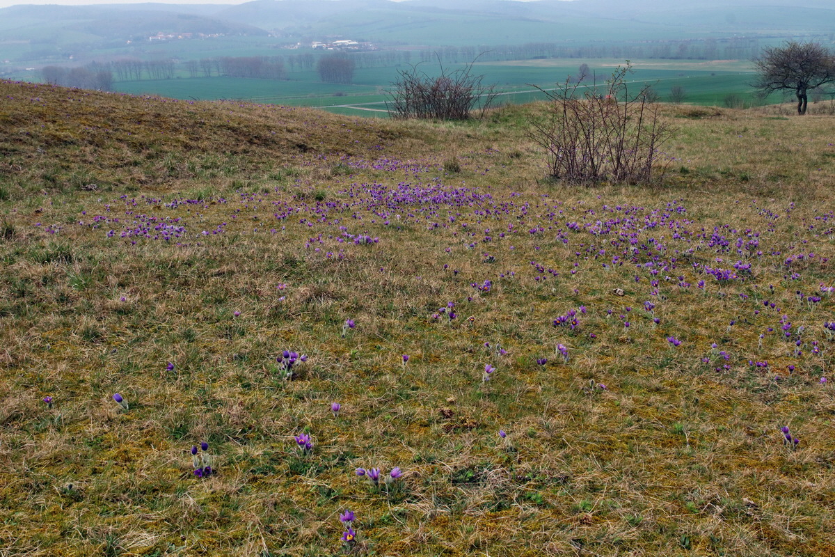 IMG-2016-04-05-00011799p_Bildgr��e �ndern