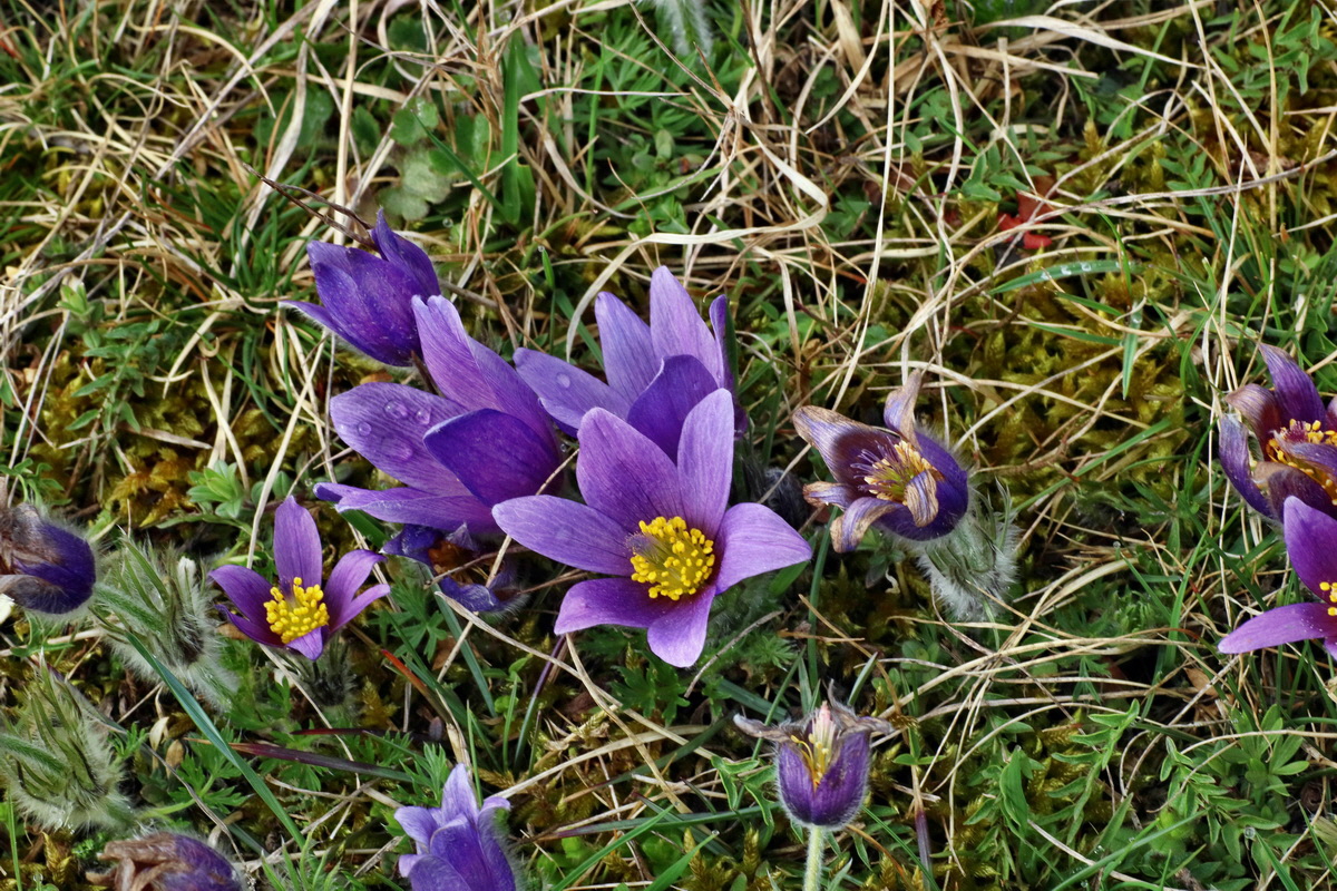 IMG-2016-04-05-00011829p_Bildgr��e �ndern