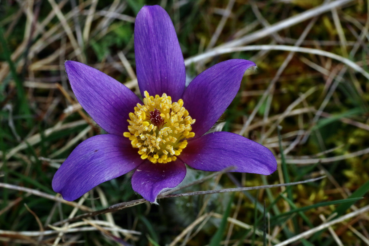 IMG-2016-04-05-00011836p_Bildgr��e �ndern