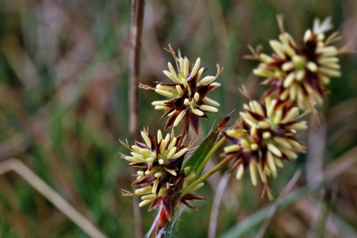 IMG-2016-04-05-00011837p_Bildgr��e �ndern