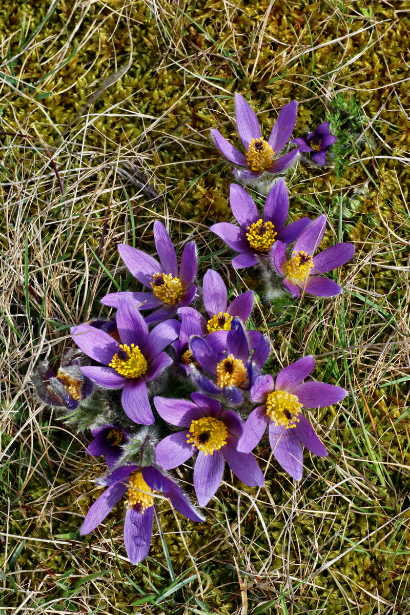 IMG-2016-04-05-00011858p_Bildgr��e �ndern