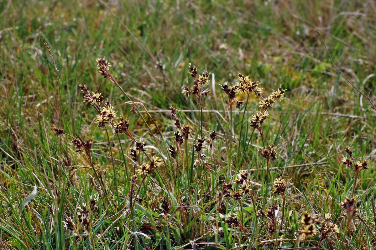 IMG-2016-04-05-00011875p_Bildgr��e �ndern