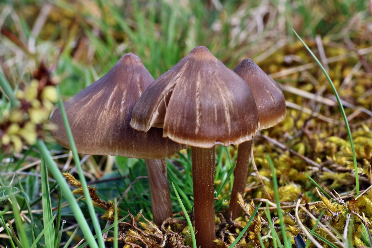 IMG-2016-04-05-00011881p_Bildgr��e �ndern