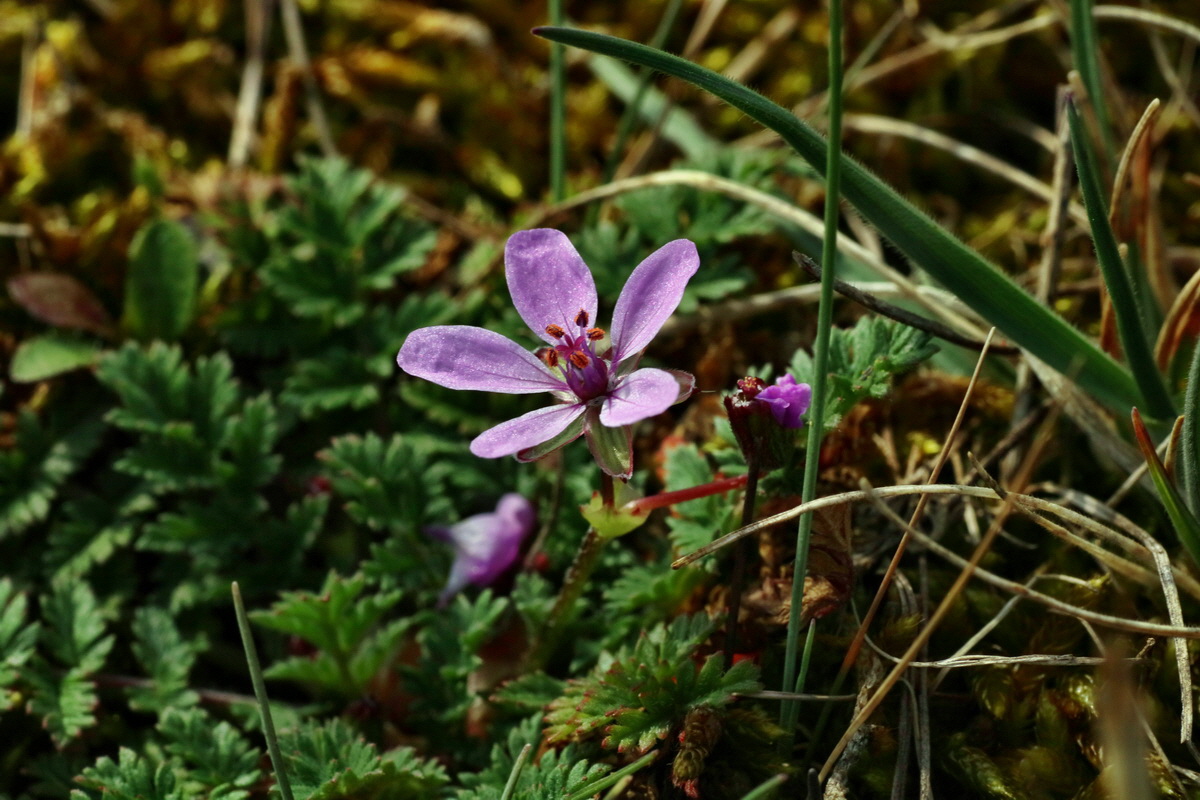 IMG-2016-04-05-00011883p_Bildgr��e �ndern