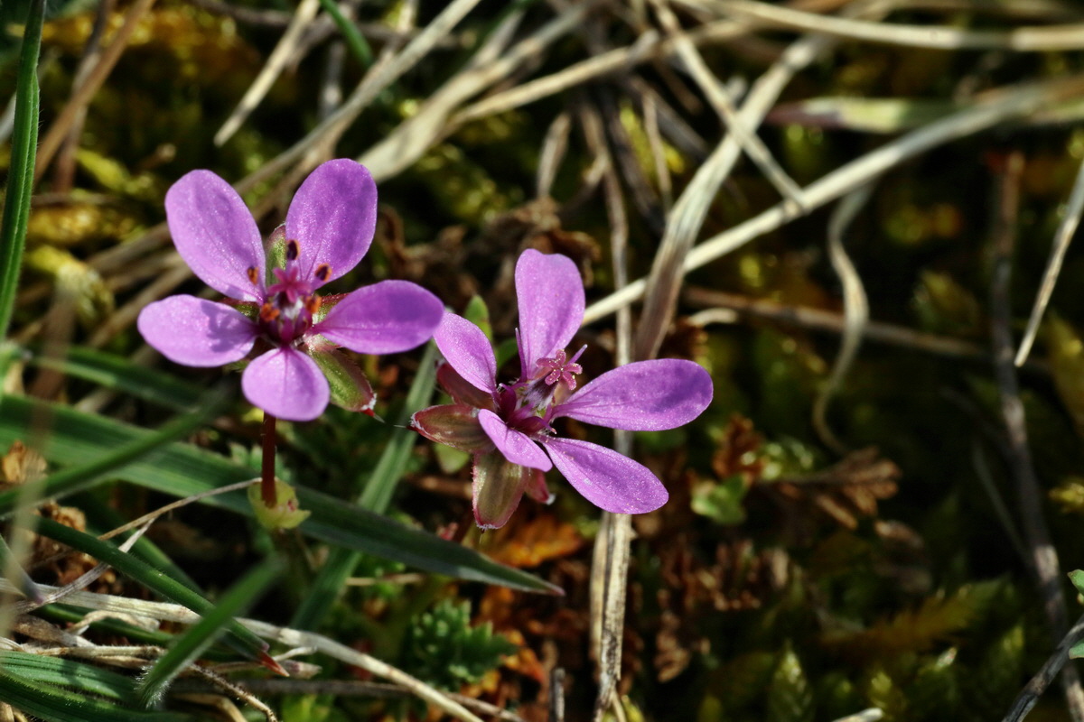 IMG-2016-04-05-00011900p_Bildgr��e �ndern