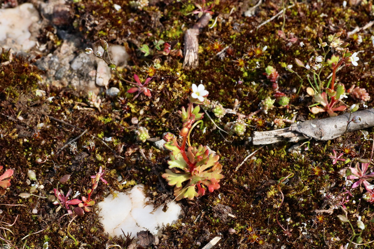 IMG-2016-04-05-00011908p_Bildgr��e �ndern