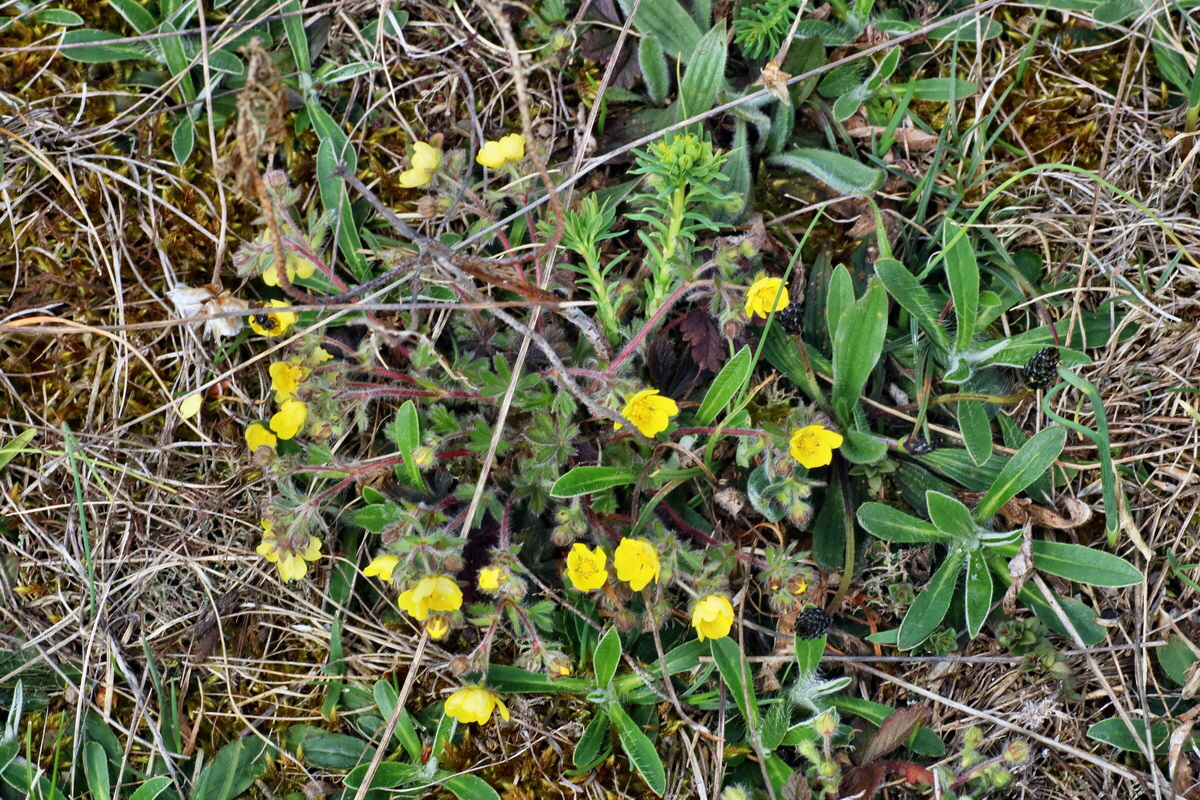 IMG-2016-04-05-00011916p_Bildgr��e �ndern