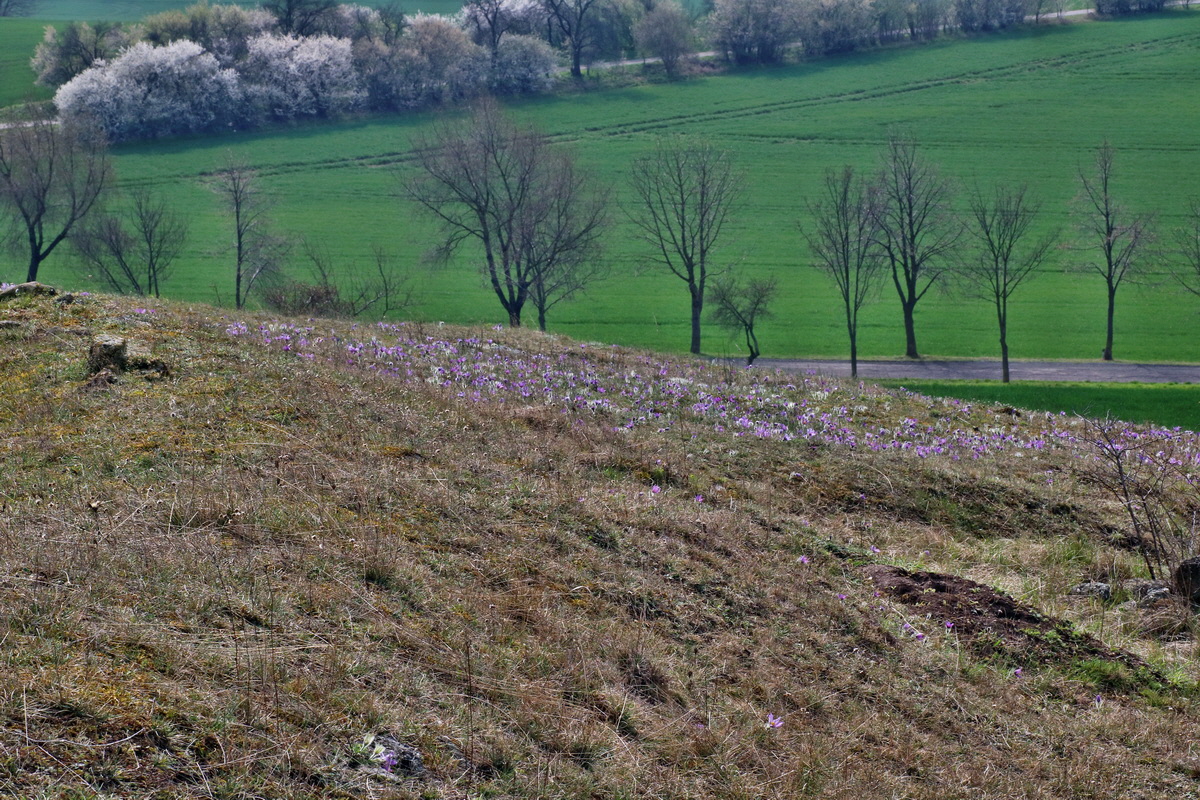 IMG-2016-04-05-00011927p_Bildgr��e �ndern