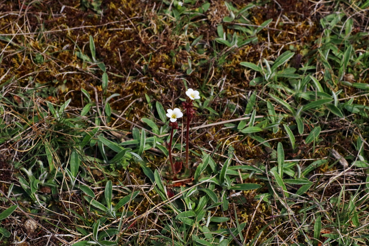 IMG-2016-04-05-00011930p_Bildgr��e �ndern