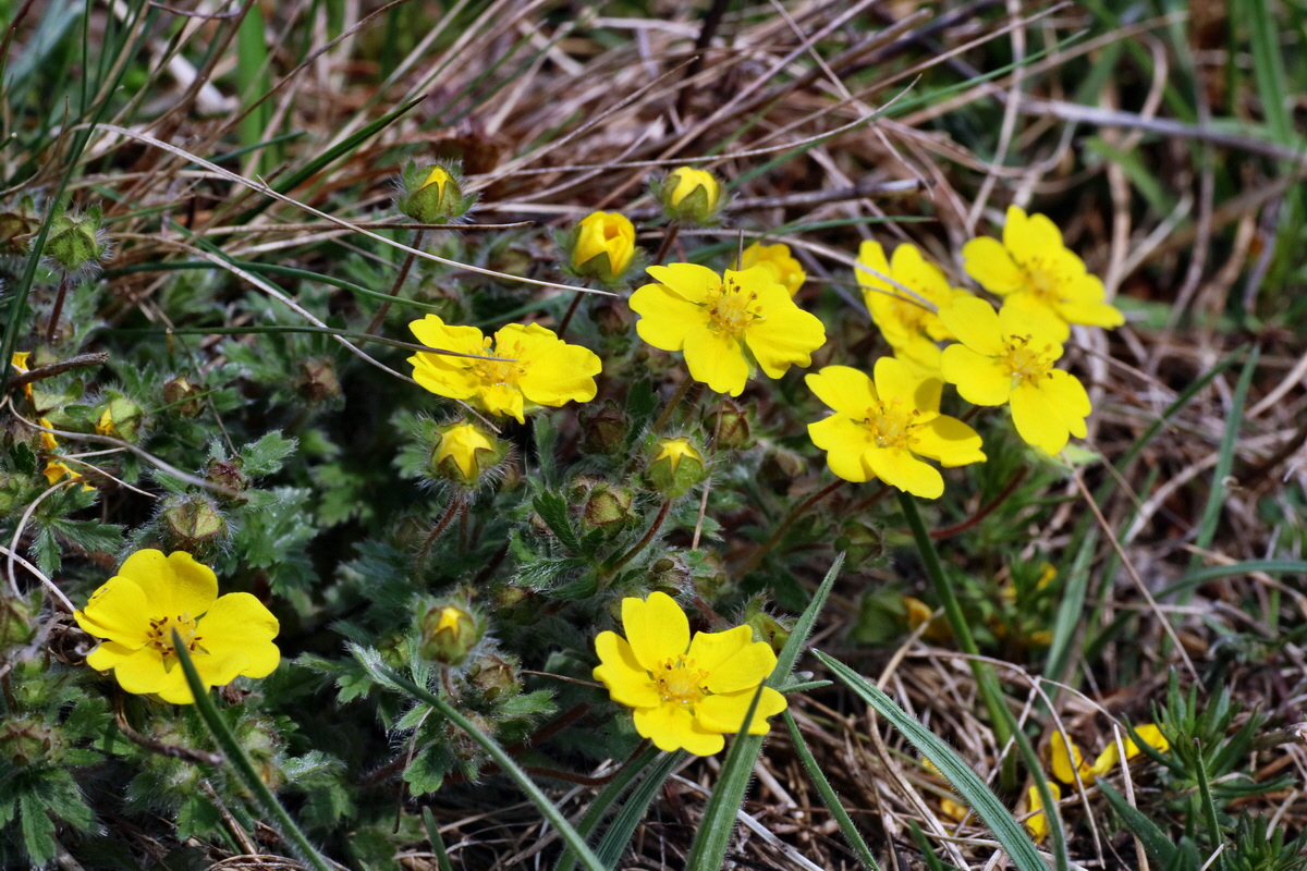 IMG-2016-04-05-00011933p_Bildgr��e �ndern