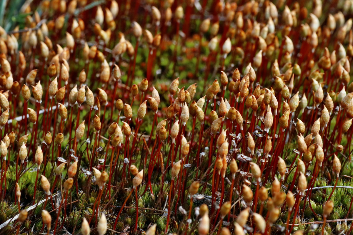 IMG-2016-04-05-00011935p_Bildgr��e �ndern