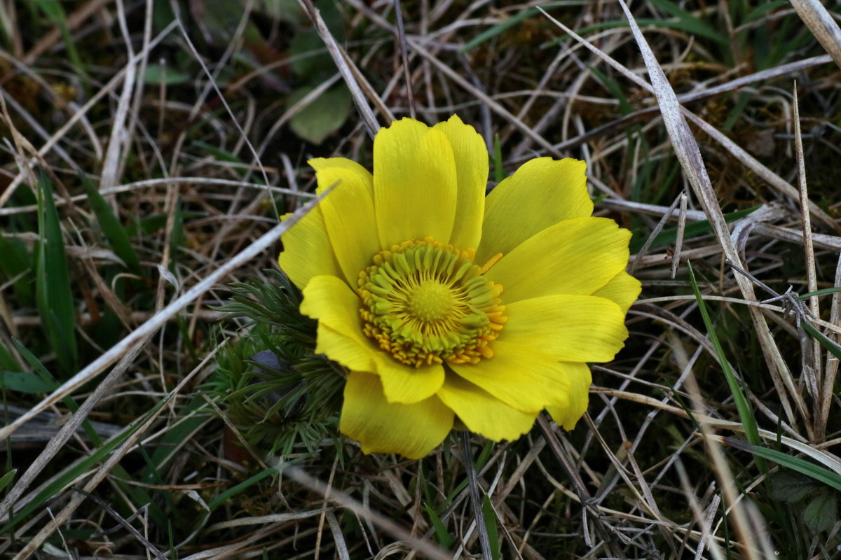 IMG-2016-04-05-00011942p_Bildgr��e �ndern