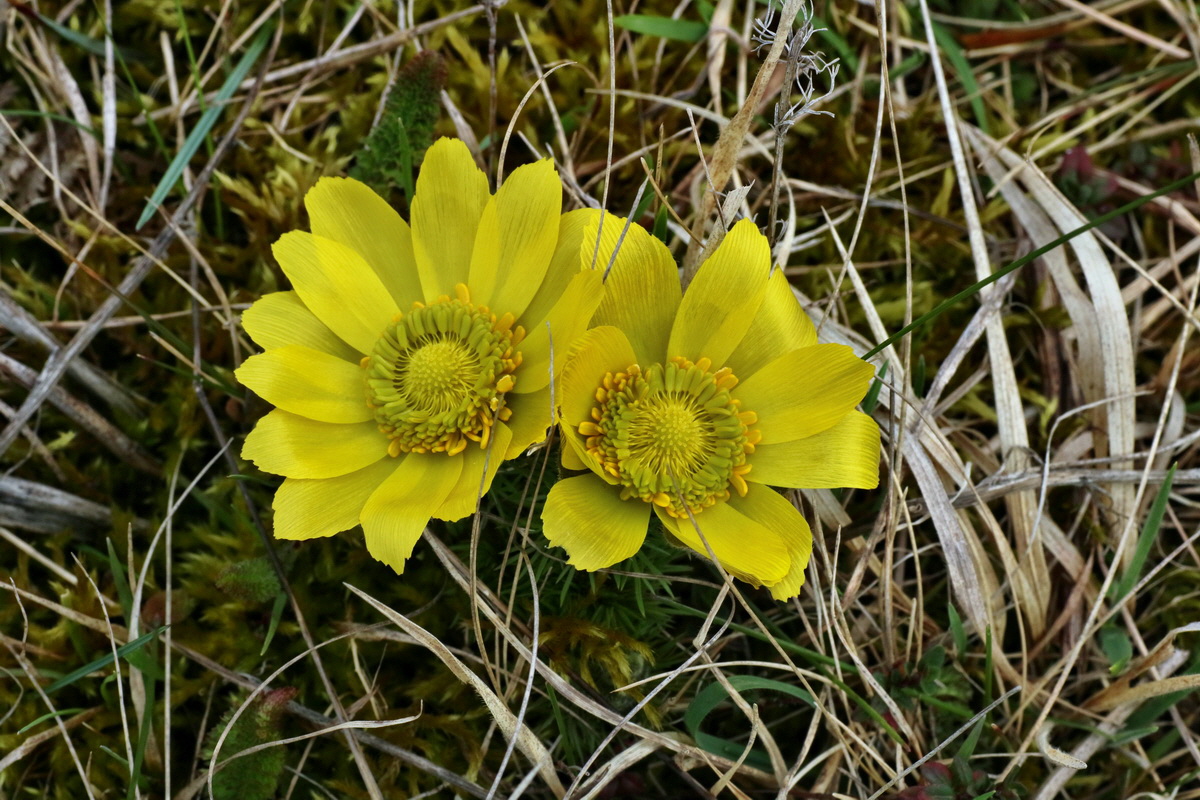 IMG-2016-04-05-00011945p_Bildgr��e �ndern