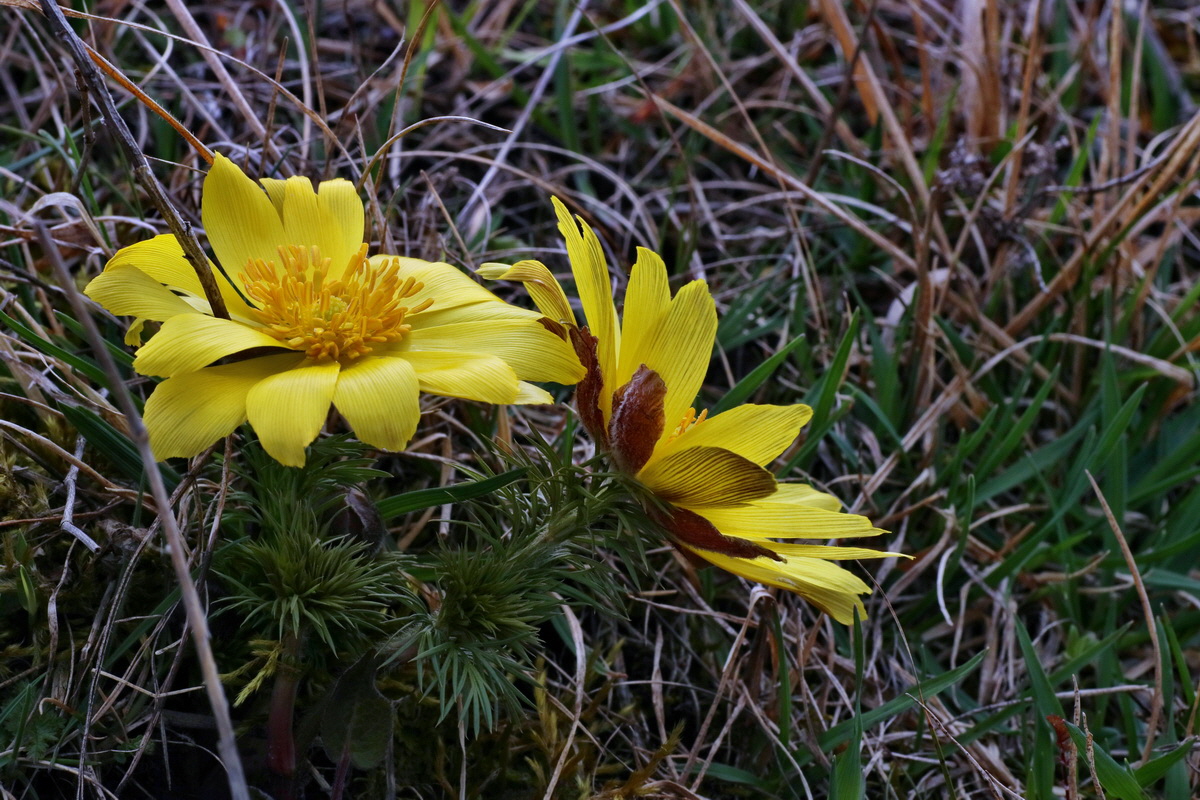 IMG-2016-04-05-00011948p_Bildgr��e �ndern