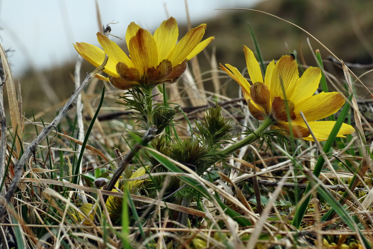 IMG-2016-04-05-00011958p_Bildgr��e �ndern