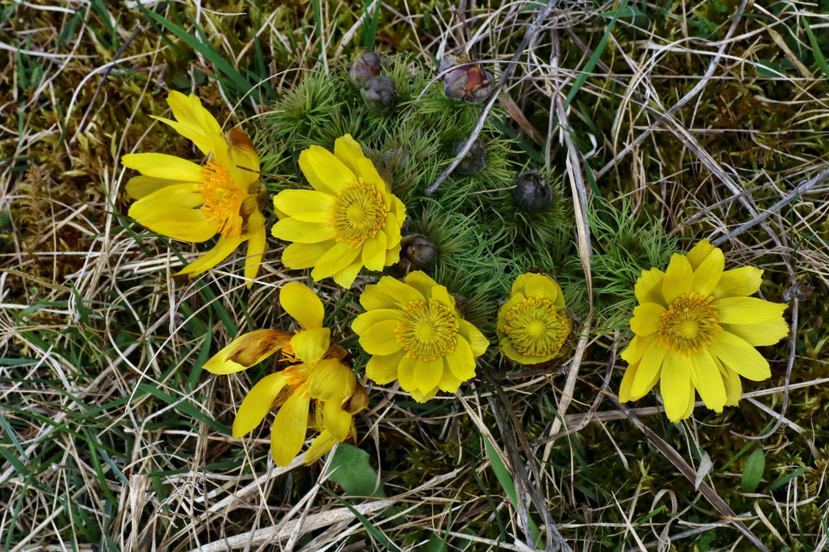 IMG-2016-04-05-00011961p_Bildgr��e �ndern