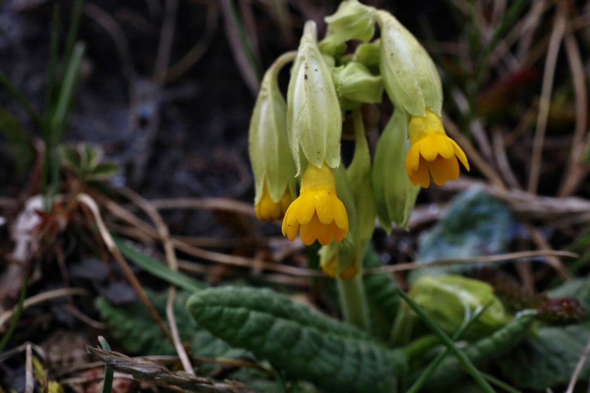 IMG-2016-04-05-00011964p_Bildgr��e �ndern