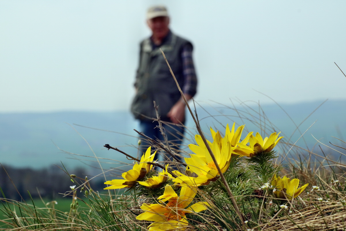 IMG-2016-04-05-00011971p_Bildgr��e �ndern