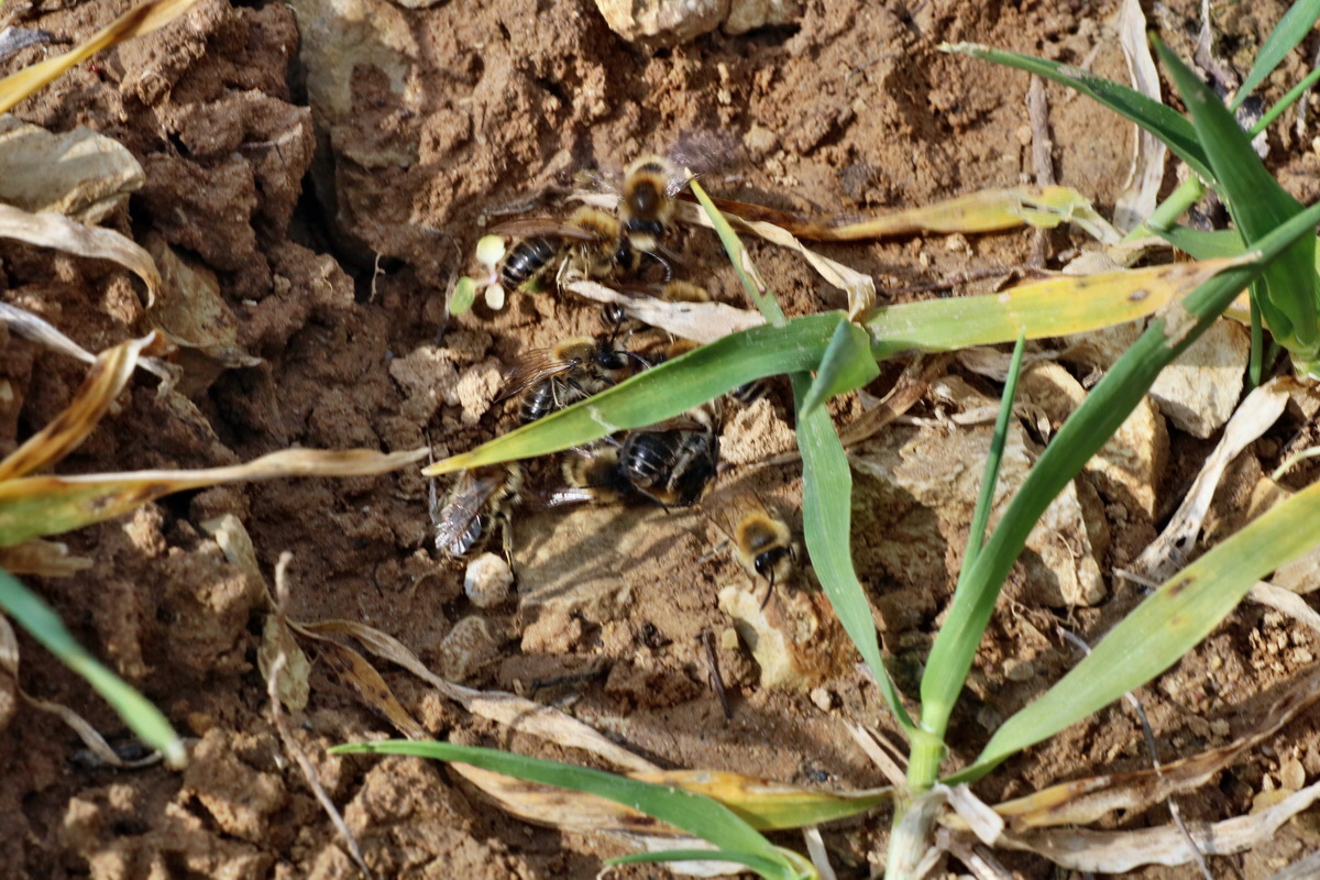 IMG-2016-04-05-00011981p_Bildgr��e �ndern