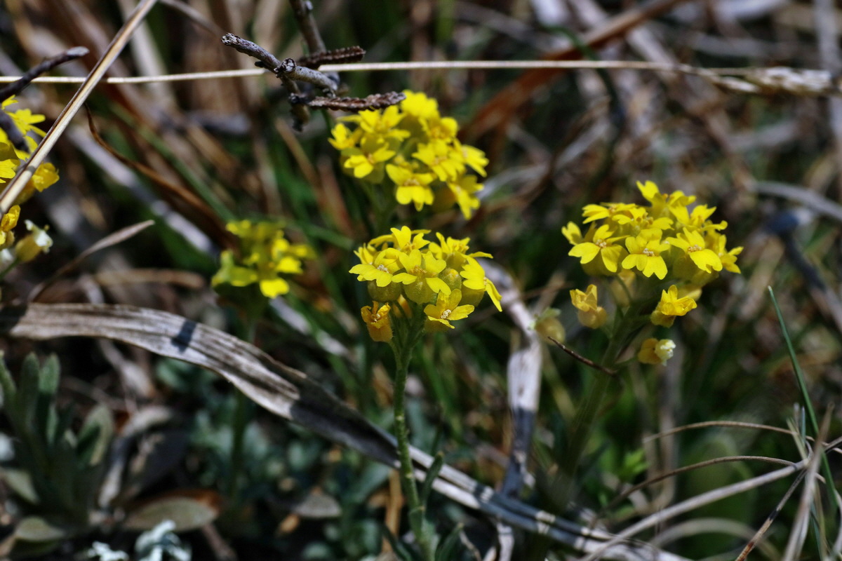 IMG-2016-04-10-00012031p_Bildgr��e �ndern