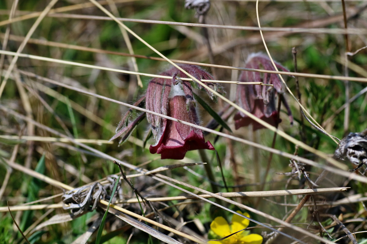 IMG-2016-04-10-00012048p_Bildgr��e �ndern