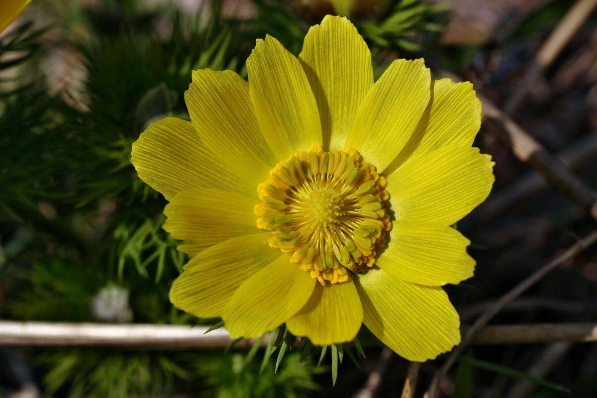 IMG-2016-04-10-00012089p_Bildgr��e �ndern