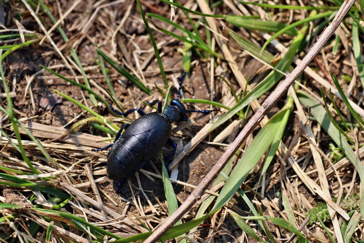 IMG-2016-04-10-00012092p_Bildgr��e �ndern