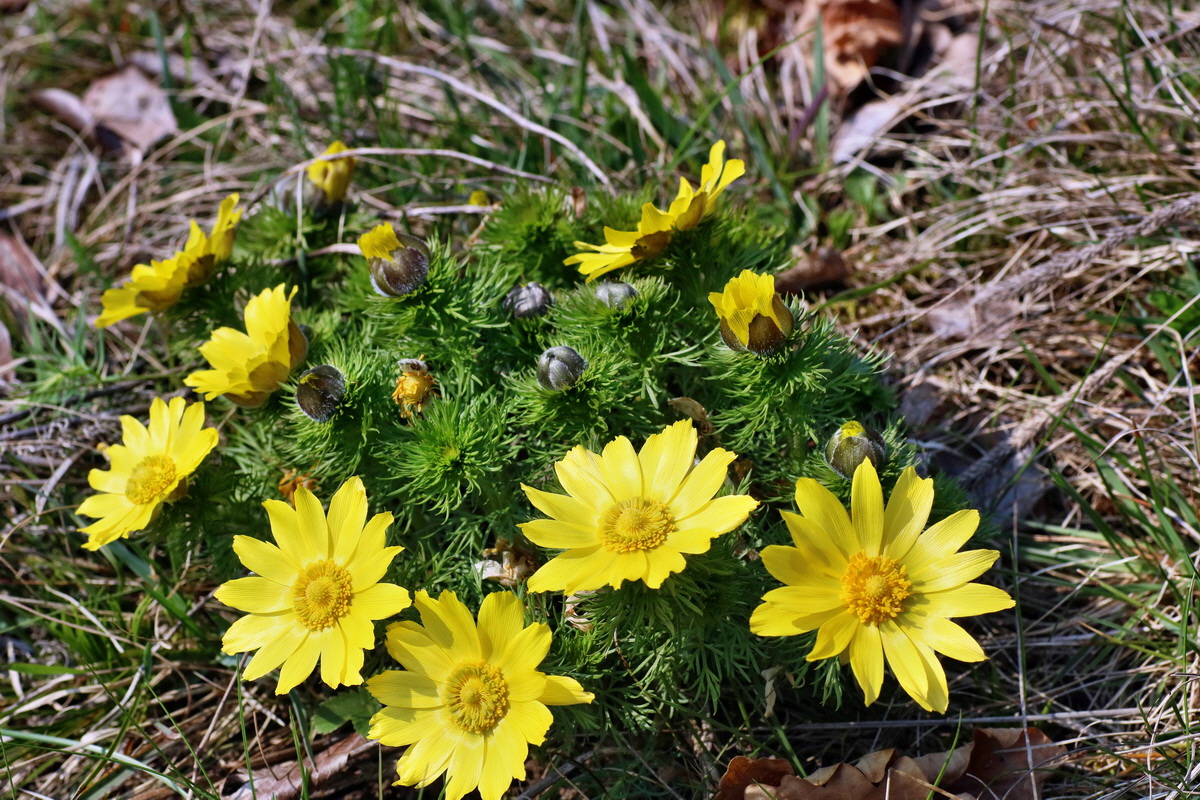 IMG-2016-04-10-00012108p_Bildgr��e �ndern