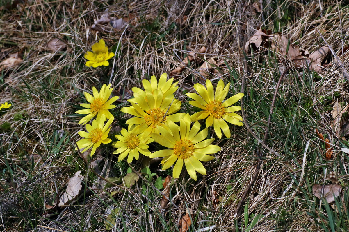 IMG-2016-04-10-00012109p_Bildgr��e �ndern