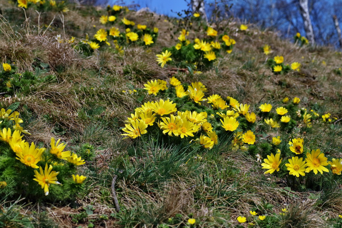 IMG-2016-04-10-00012118p_Bildgr��e �ndern