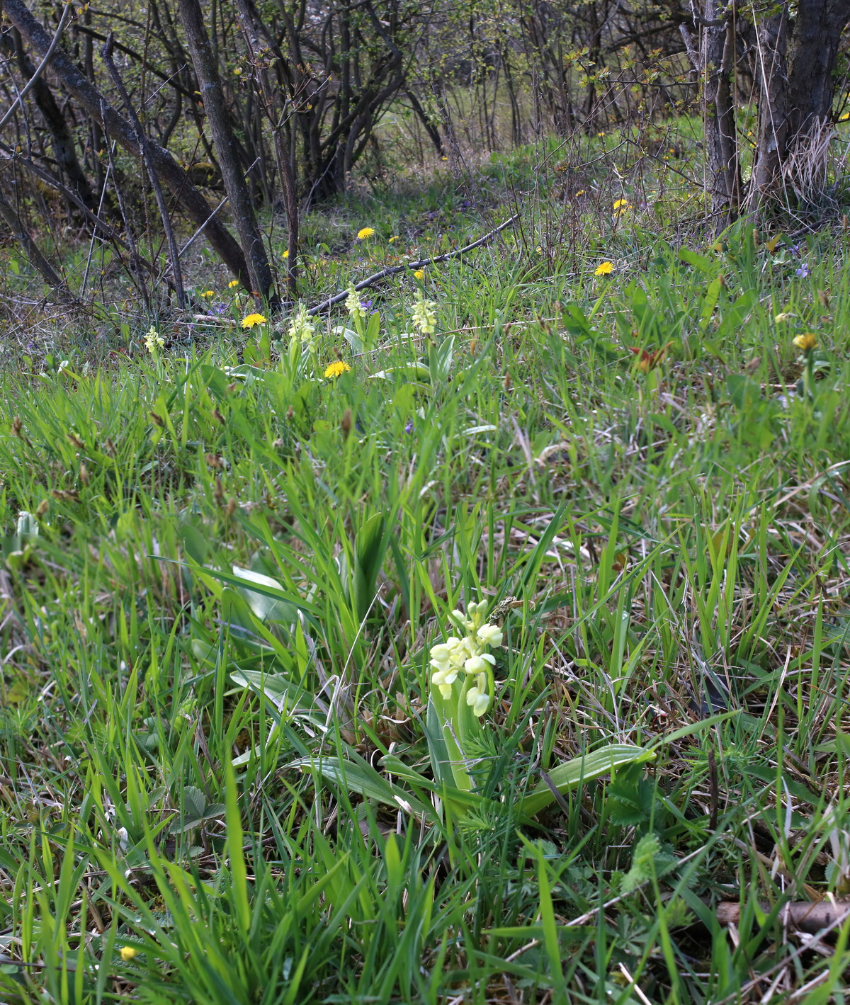 [Group 1]-IMG-2016-04-17-00012252_IMG-2016-04-17-00012254-2 images_Bildgr��e �ndern