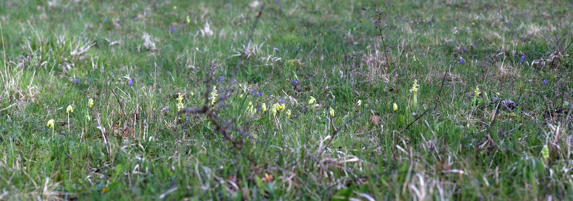 [Group 2]-IMG-2016-04-17-00012151_IMG-2016-04-17-00012163-6 images_Bildgr��e �ndern