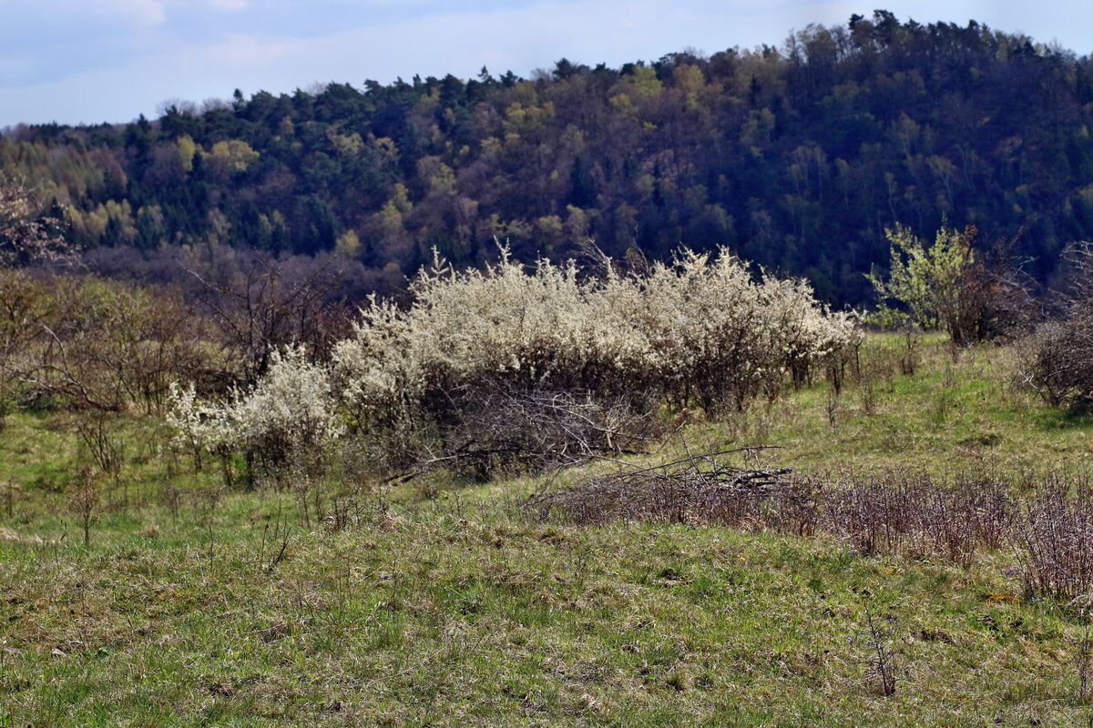 IMG-2016-04-17-00012124p_Bildgr��e �ndern