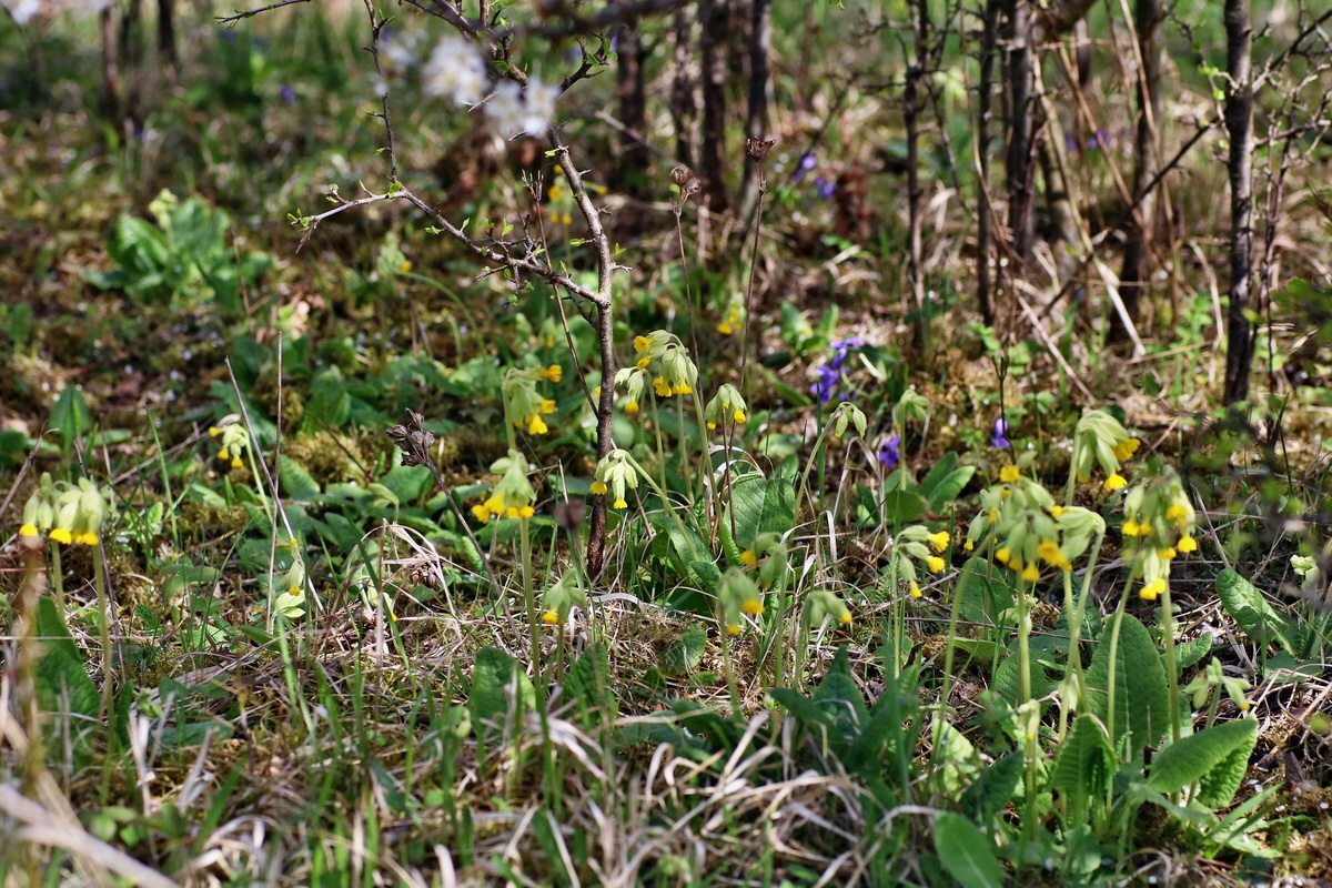 IMG-2016-04-17-00012133p_Bildgr��e �ndern