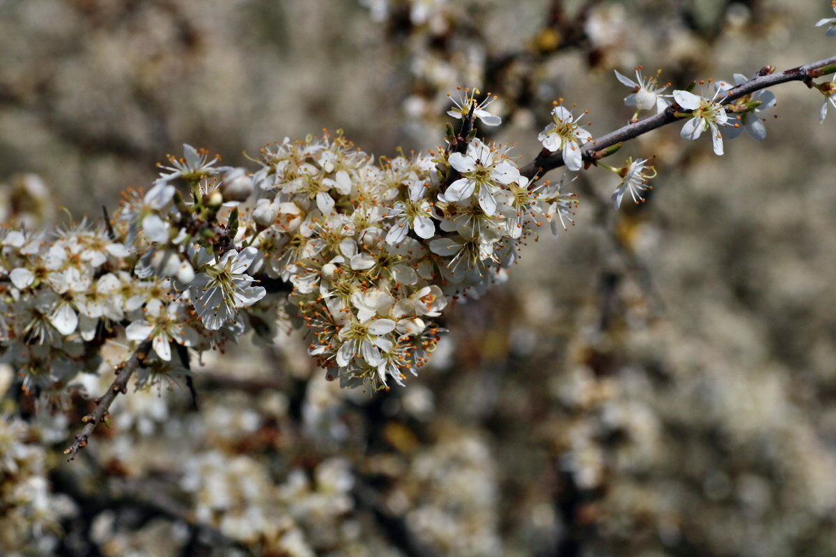 IMG-2016-04-17-00012136p_Bildgr��e �ndern