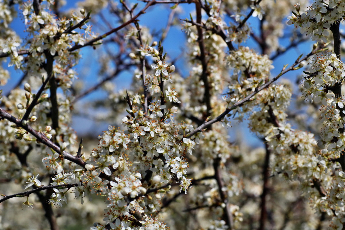 IMG-2016-04-17-00012139p_Bildgr��e �ndern