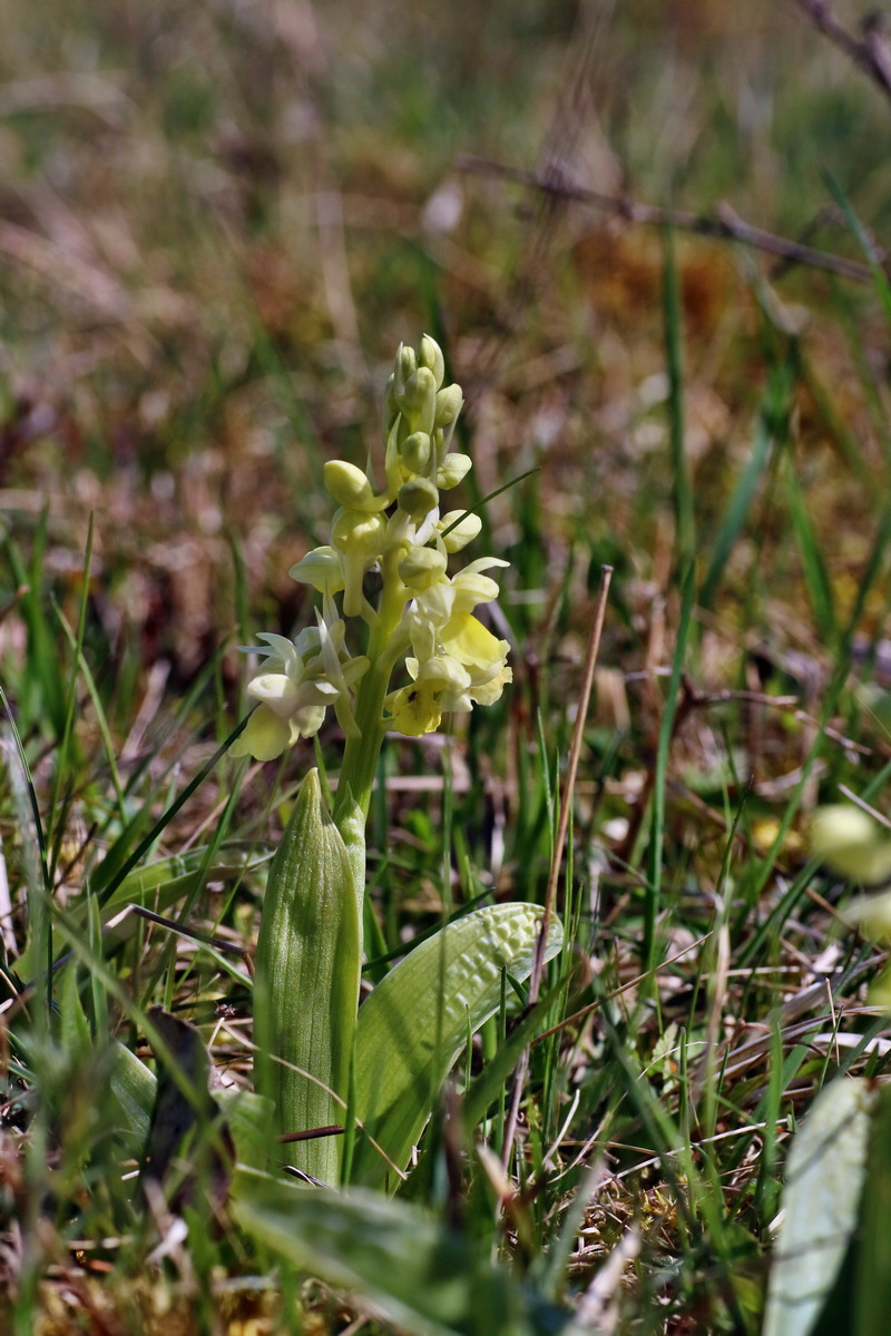 IMG-2016-04-17-00012143p_Bildgr��e �ndern