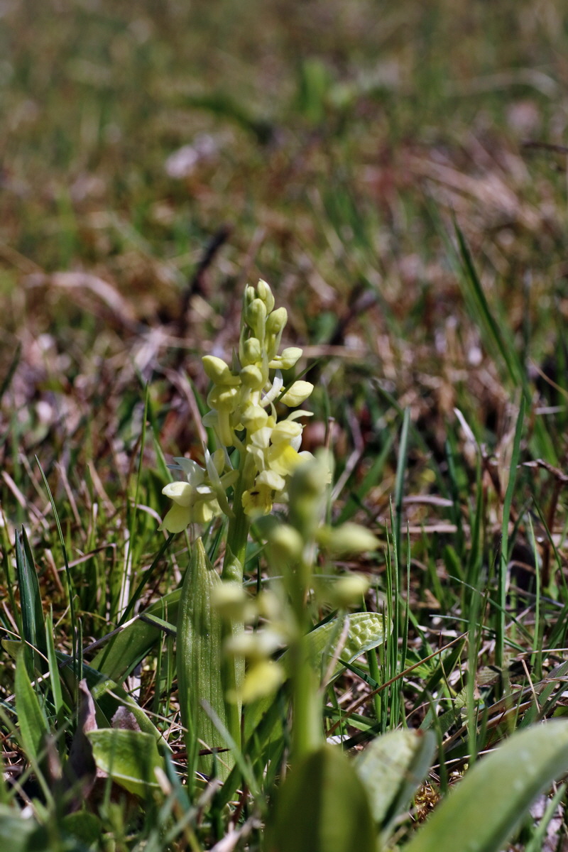 IMG-2016-04-17-00012148p_Bildgr��e �ndern