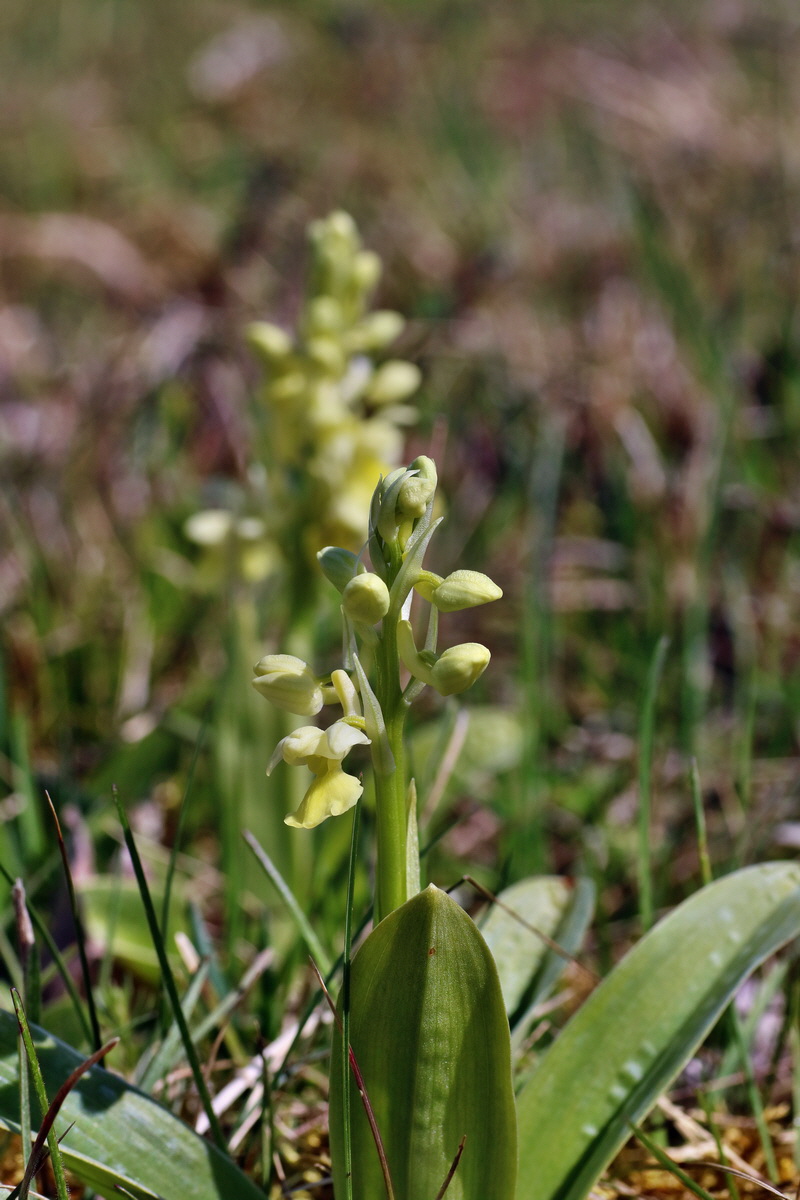 IMG-2016-04-17-00012149p_Bildgr��e �ndern